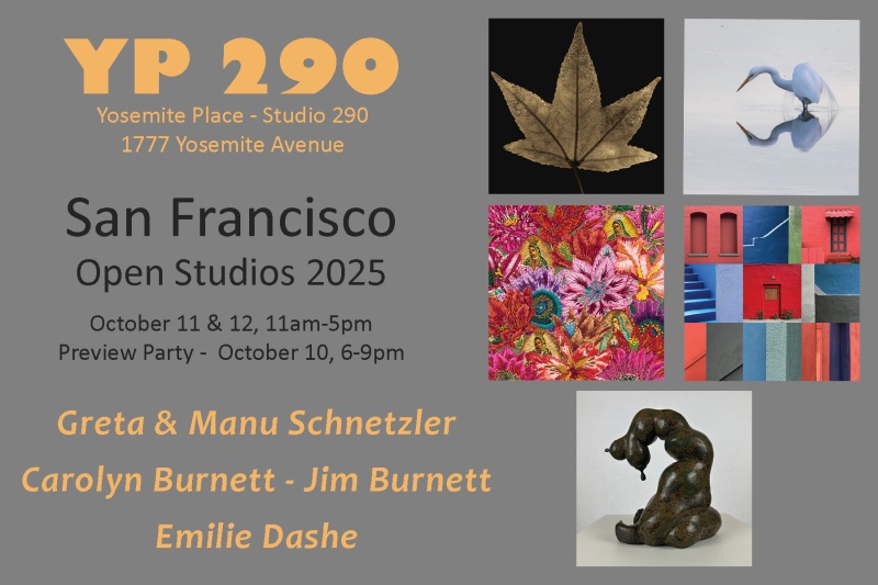 Yosemite Place 290